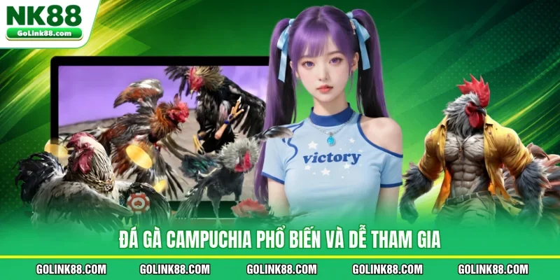 Đá gà Campuchia phổ biến và dễ tham gia