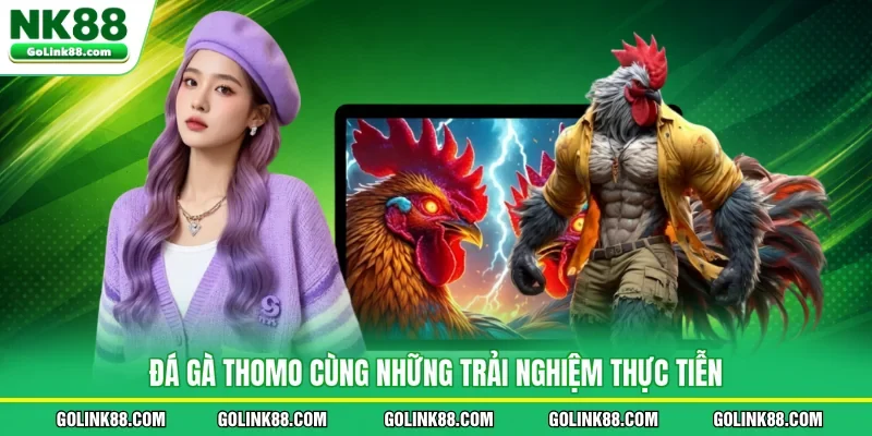 Đá gà Thomo cùng những trải nghiệm thực tiễn