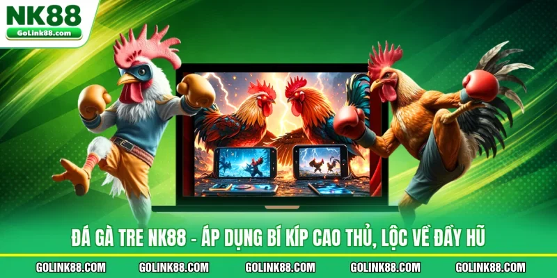 Đá Gà Tre NK88 - Áp Dụng Bí Kíp Cao Thủ, Lộc Về Đầy Hũ