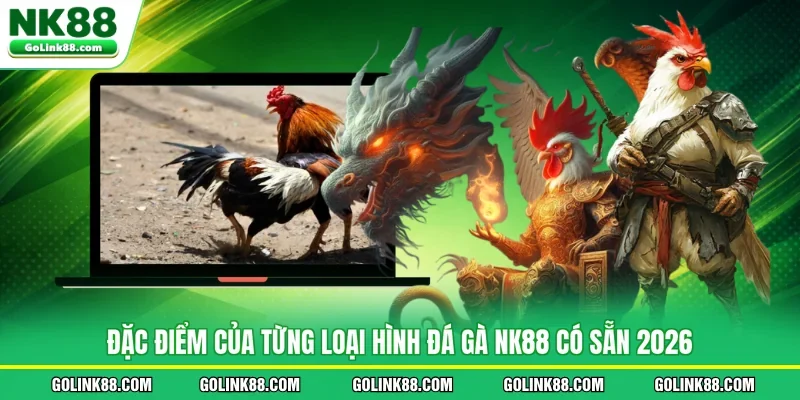 Đặc điểm của từng loại hình đá gà NK88 có sẵn 2026
