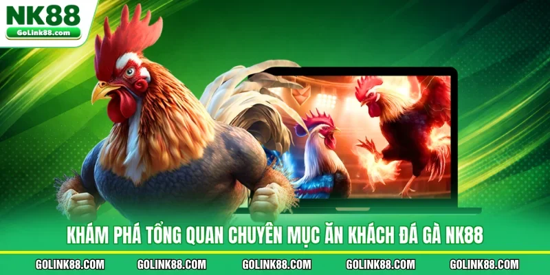 Khám phá tổng quan chuyên mục ăn khách đá gà NK88
