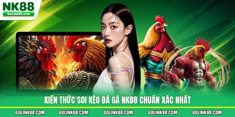 Kiến thức soi kèo đá gà NK88 chuẩn xác nhất