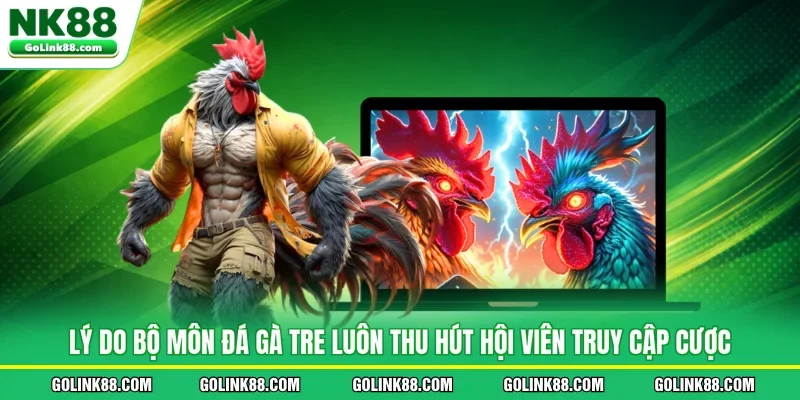 Lý do bộ môn đá gà tre luôn thu hút hội viên truy cập cược