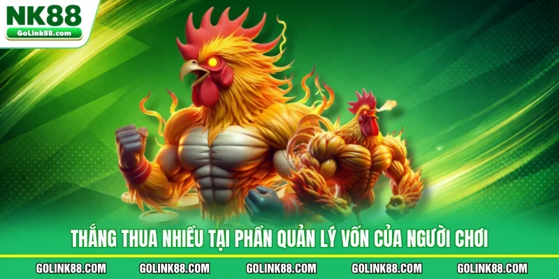 Thắng thua nhiều tại phần quản lý vốn của người chơi